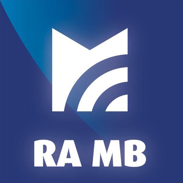 Radijski dnevnik