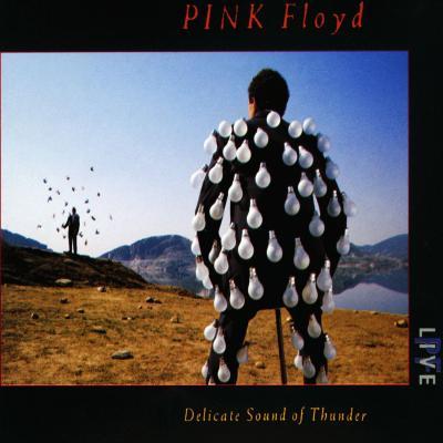 Comfortably Numb