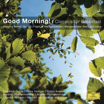 Symphony No.1 In D, Op.25 "Classical Symphony": 1. Allegro