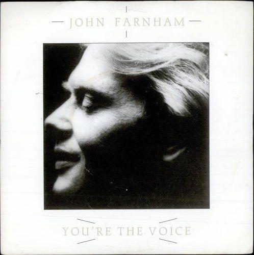 You\'re The Voice