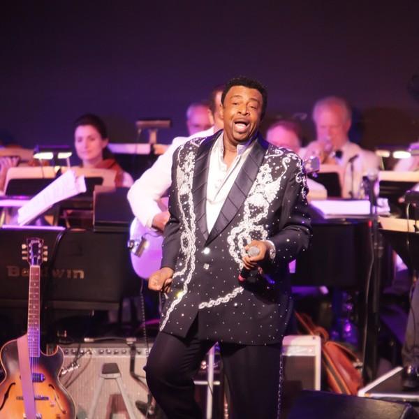 Don t look any further