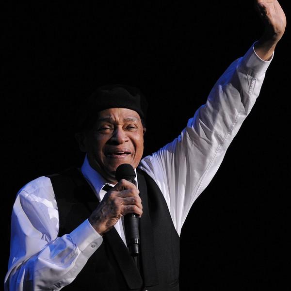 Jacaranda Bougainvillea