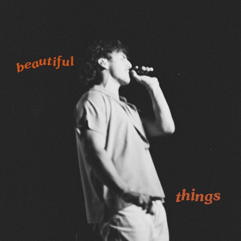 BEAUTIFUL THINGS