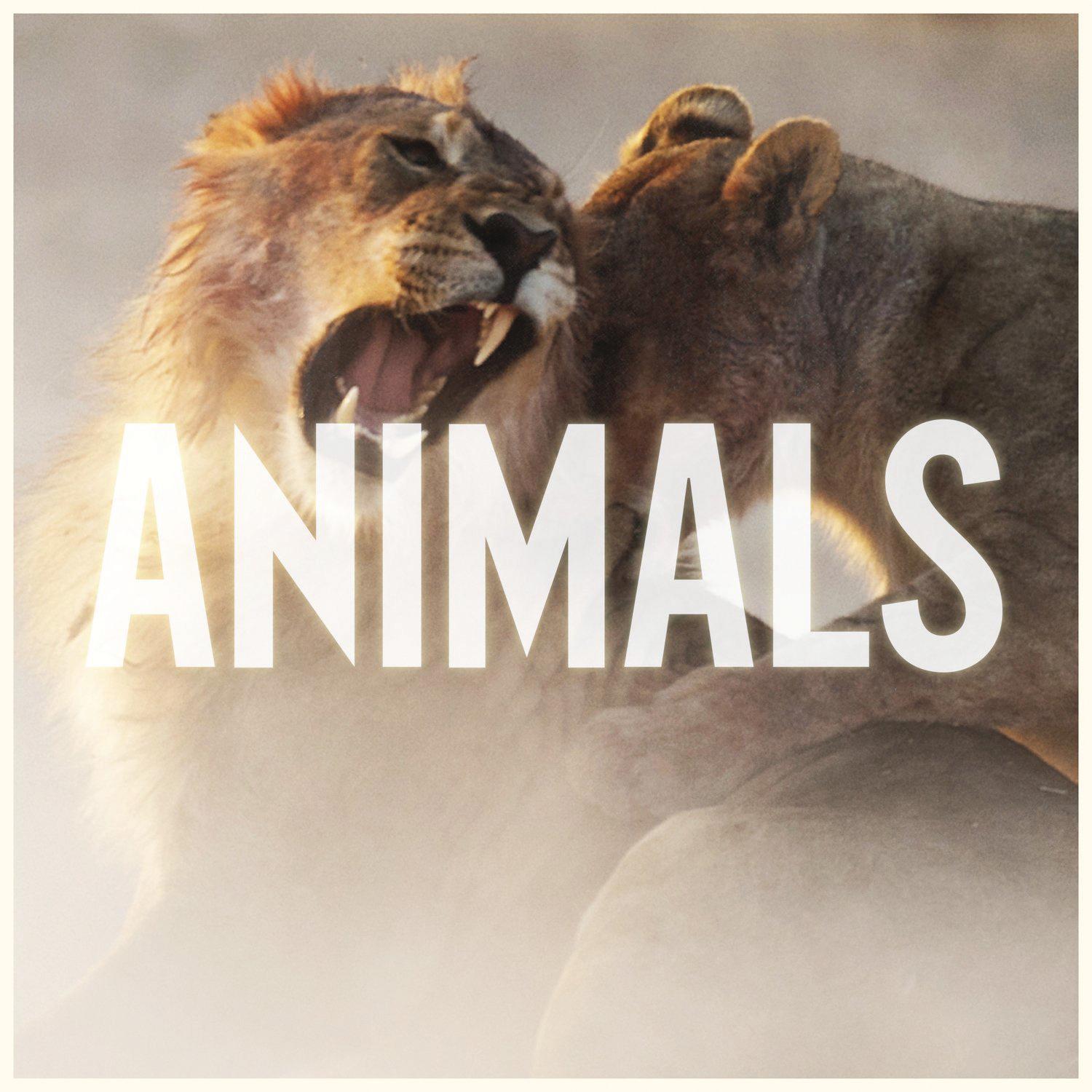 ANIMALS