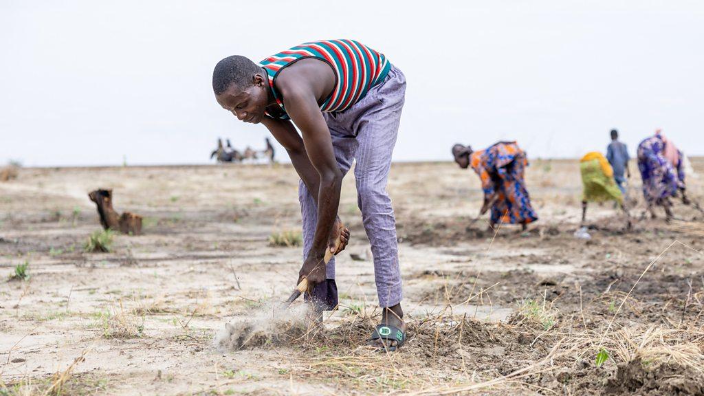 From Our Own Correspondent