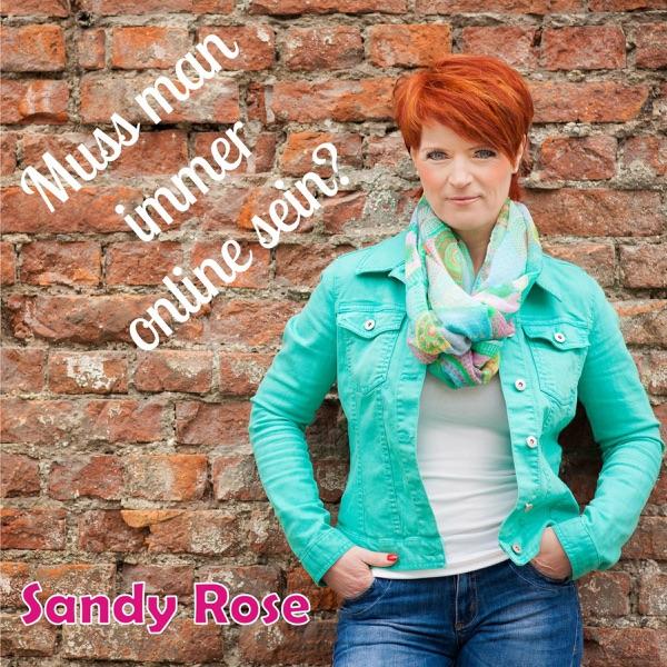 Muss man immer Online sein