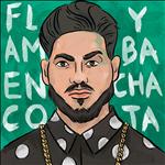 Flamenco y bachata